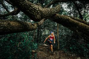 BIB: 
                            <button type="button" onclick="openModal(25708477)" class="btn btn-primary btn-sm float-right btn-popup" data-toggle="modal" data-target=".modal-high-quality">
                        <i class="fas fa-shopping-cart"></i> Add to Cart
                    </button>
                                            <button type="button" onclick="isThisMe(25708477, true)" class="btn btn-success btn-sm float-right btn-popup btn-isme hidden" data-toggle="tooltip" data-placement="bottom" title="นี่คือรูปของคุณใช่ไหม คลิกที่นี่เพื่อเอาเข้าอัลบั้ม">
                        <i class="fas fa-plus"></i> Add to album
                    </button>
                    <button type="button" onclick="isThisMe(25708477, false)" class="btn btn-warning btn-sm float-right btn-popup btn-isnotme hidden">
                        <i class="fas fa-ban"></i> Remove from album
                    </button>